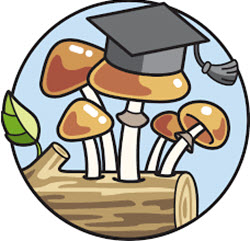 Oliver Merivee & Jasper Degenaars – Sacred Mushroom Cultivation Course