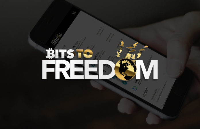 Crypto Picasso Bits to Freedom Course