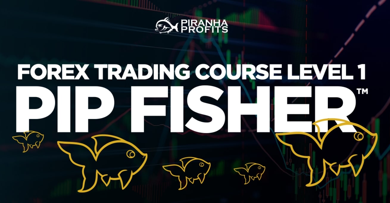 Adam Khoo – Forex Trading Course Level 1 PIP Fisher