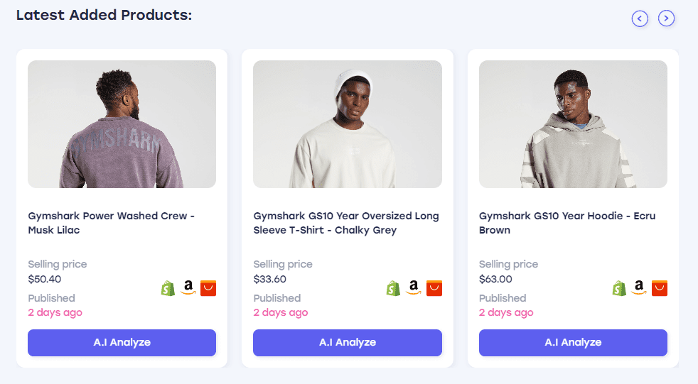 How To Find Unsaturated Dropshipping Products With Adserea AI 14 Adserea AI